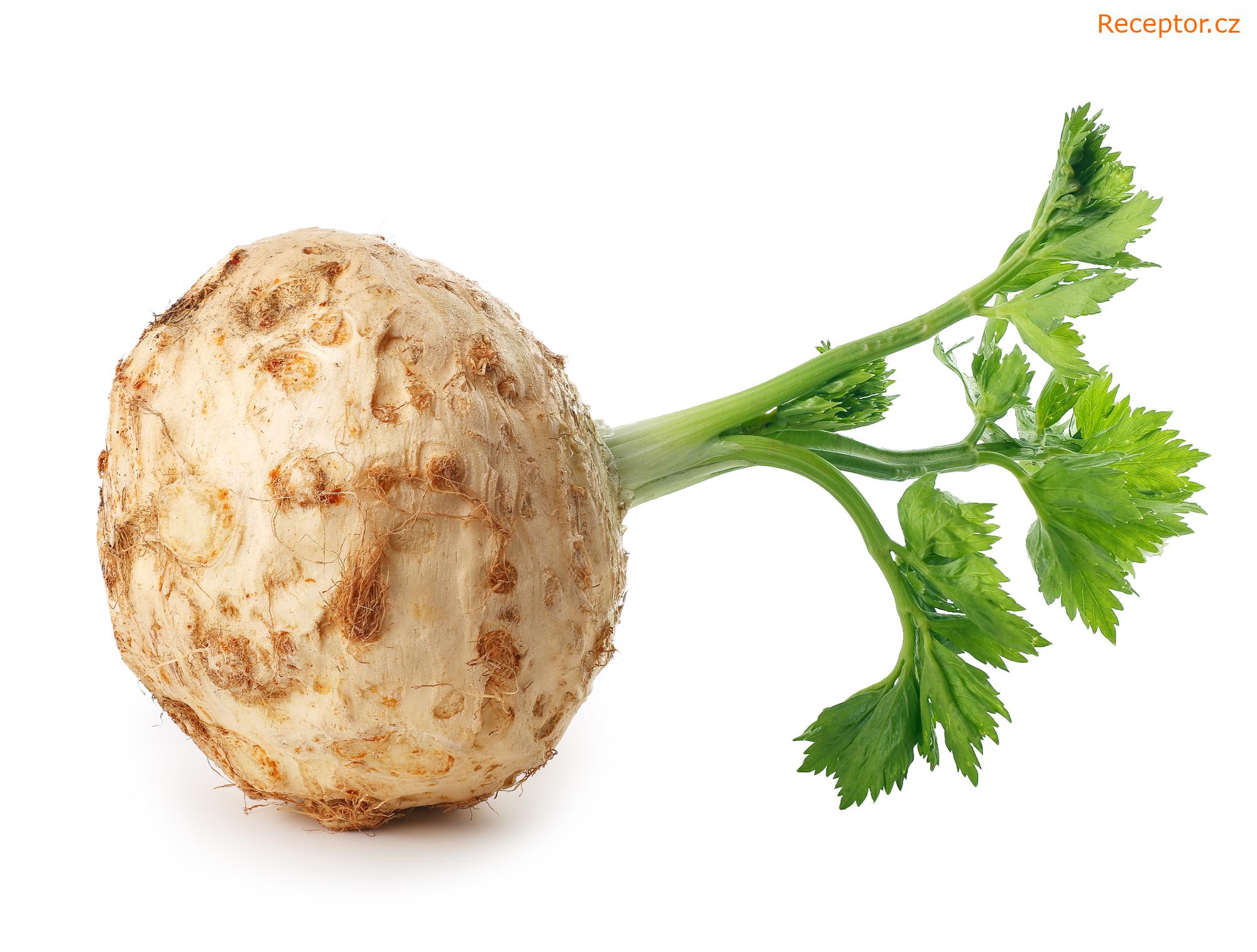 Celerová pomazánka